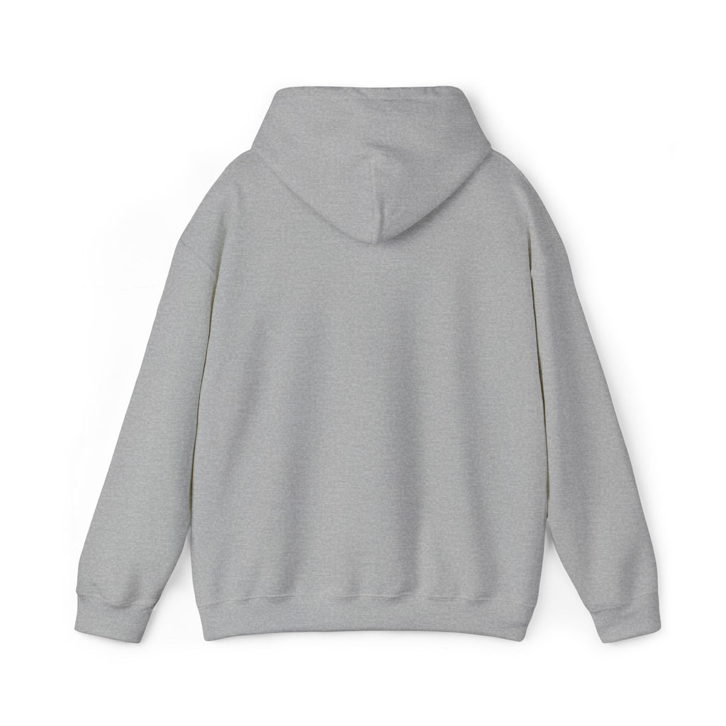 67 Unisex Heavy Blend™ Hooded Sweatshirt