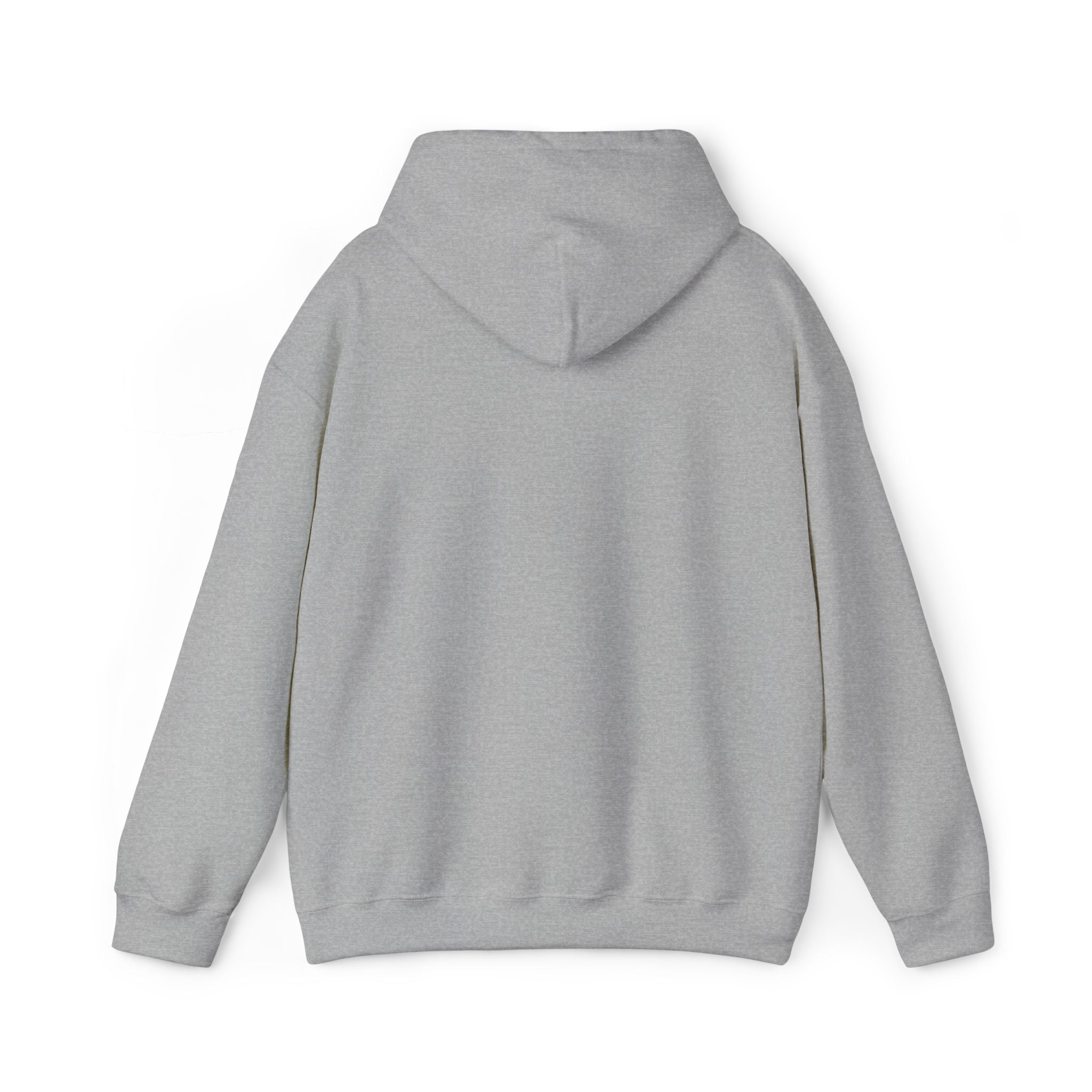 67 Unisex Heavy Blend™ Hooded Sweatshirt