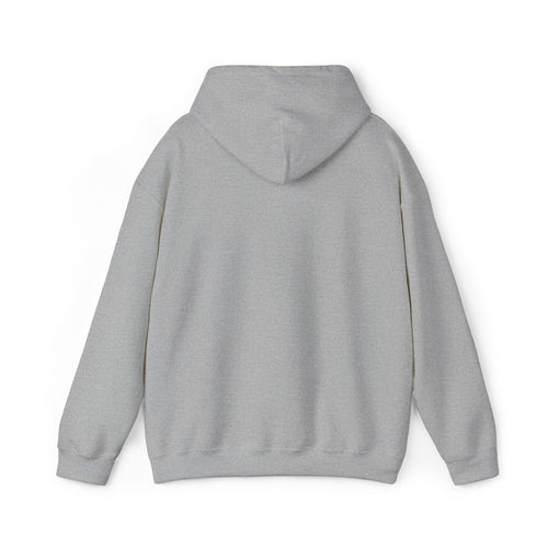 67 Unisex Heavy Blend™ Hooded Sweatshirt